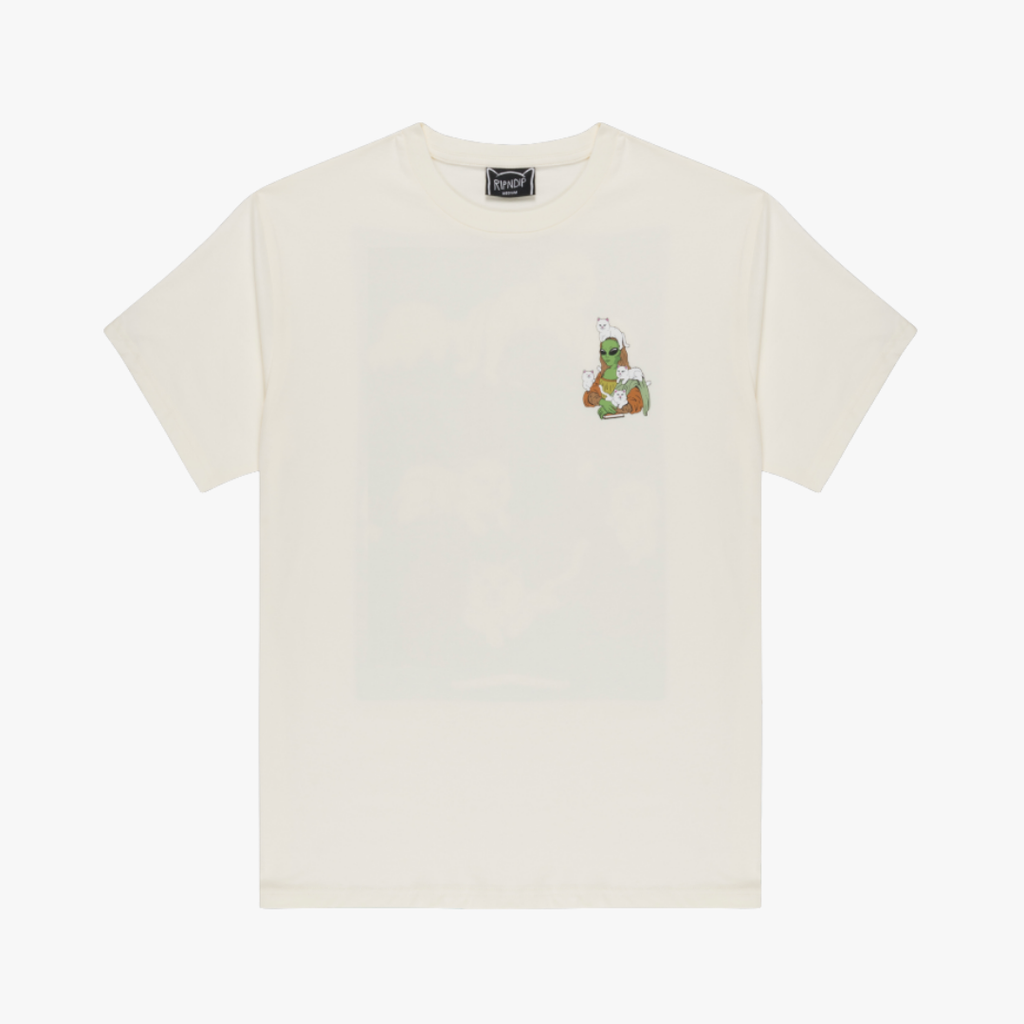 HERE ALL ALONG TEE (BONE)