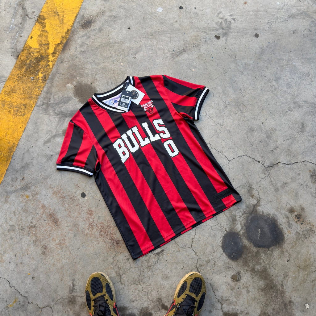 NBA Chicago Bulls " Court to field "