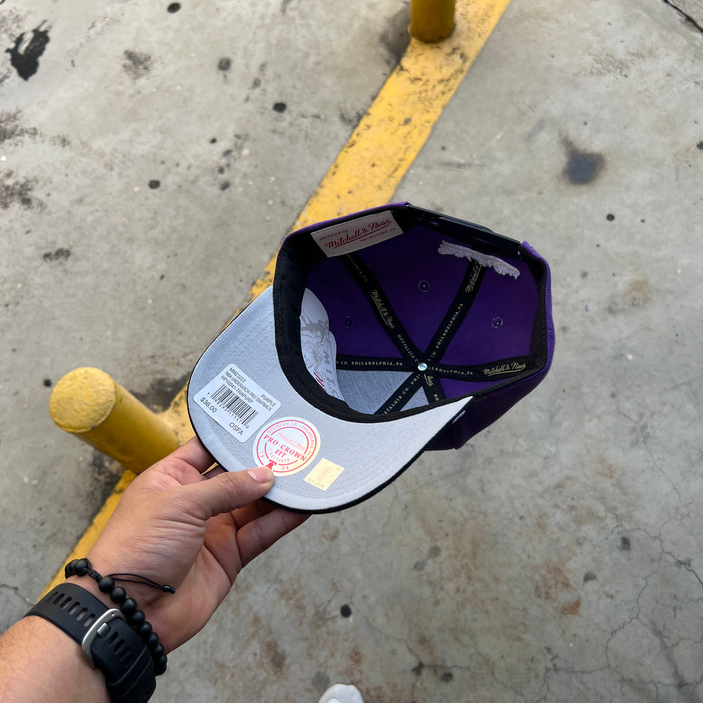 M&N NBA Snapback Toronto Raptors